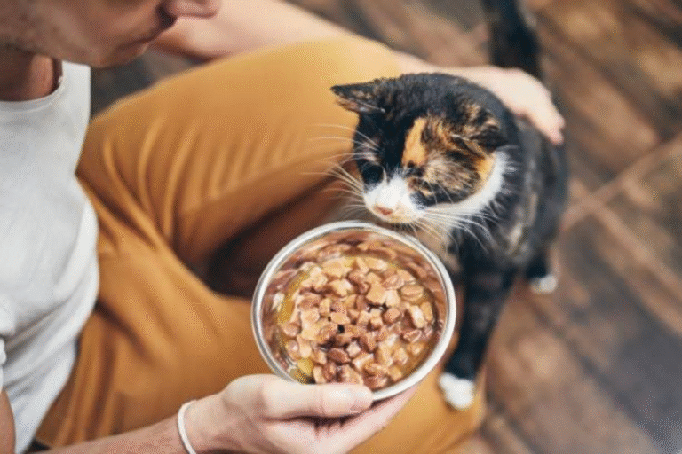 Unlocking Primal Nutrition for Your Cat: The Power of Turkey Heart Treats