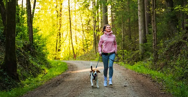 What Is a Resource Page and How Can It Transform Your Search for Lifestyle, Health, and Pet Care Answers?